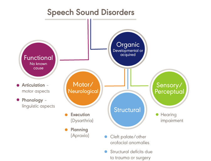 definition of speech disturbance